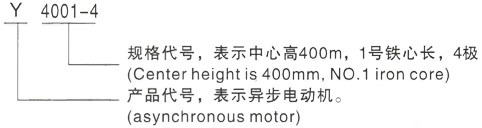 西安泰富西玛Y系列(H355-1000)高压YJTFKK4504-8-315KW三相异步电机型号说明