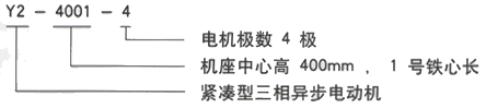 YR系列(H355-1000)高压YJTFKK4504-8-315KW三相异步电机西安西玛电机型号说明